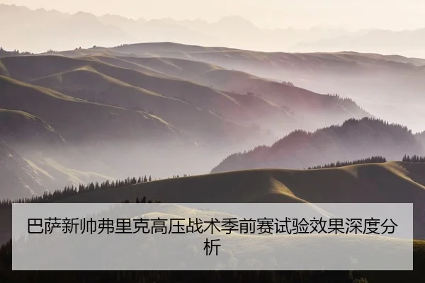 ba-sa-xin-shuai-fu-li-ke-gao-ya-zhan-shu-ji-qian-sai-shi-yan-xiao-guo-shen-du-fen-xi-2-249.jpg